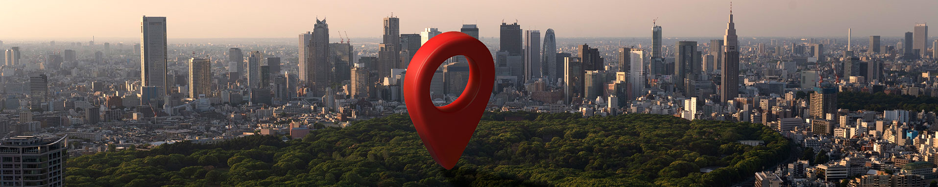 Local Business Management